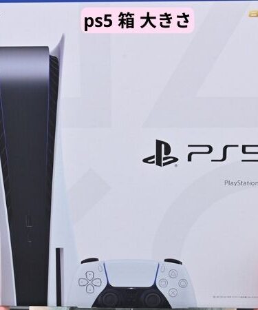 ps5 箱 大きさ